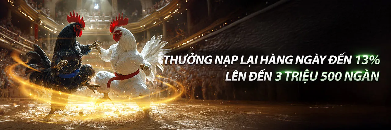 Alo789 Đá Lạt - Sảnh đá gà trực tuyến với các trận đấu kịch tính và người chơi cá cược
